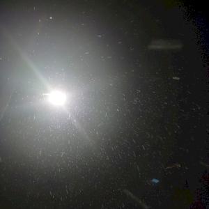 Фото профиля Аглая