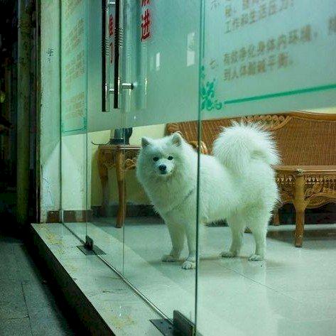 Фото профиля Shellm