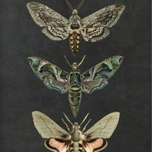 Фото профиля Купава