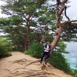 Фото профиля Михаил Кудряков 