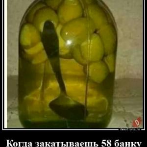 Фото профиля стьюи