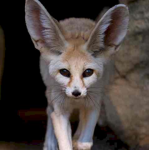 Фото профиля Эля Муратова