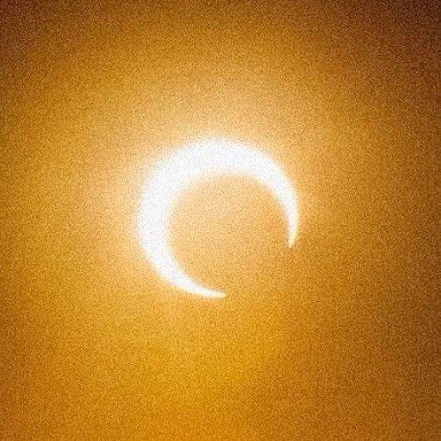 Фото профиля Ликорис