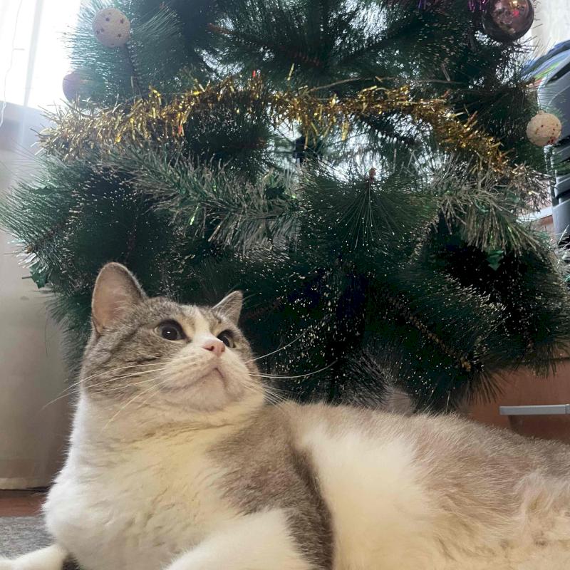 Фото профиля Юрий