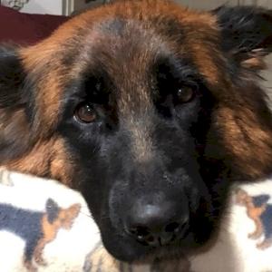 Фото профиля Vka_