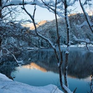 Фото профиля Михаил Гареев