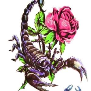 Фото профиля Natalуа Ott