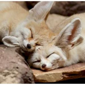 Фото профиля Ночь пройдëт