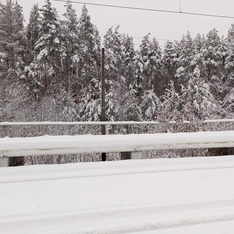 Фото профиля Lay Imi