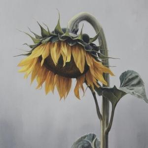 Фото профиля sadflower