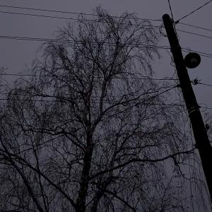 Фото профиля Лётик 