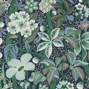 Фото профиля Сергей Яхновец