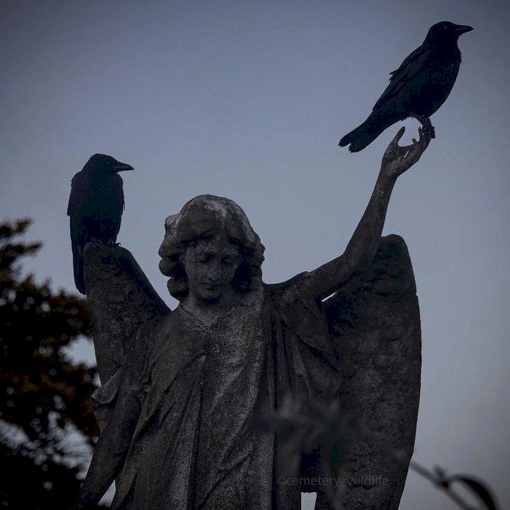 Фото профиля David T 