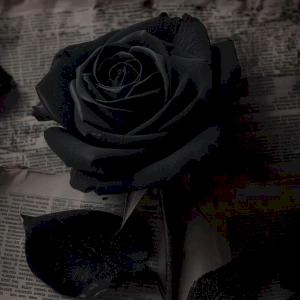 Фото профиля Верея Костицкая