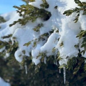 Фото профиля Татьяна Зима