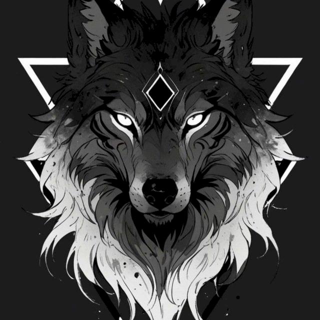 Фото профиля Шатохин Ян