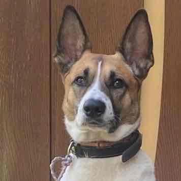 Фото профиля Weter dream