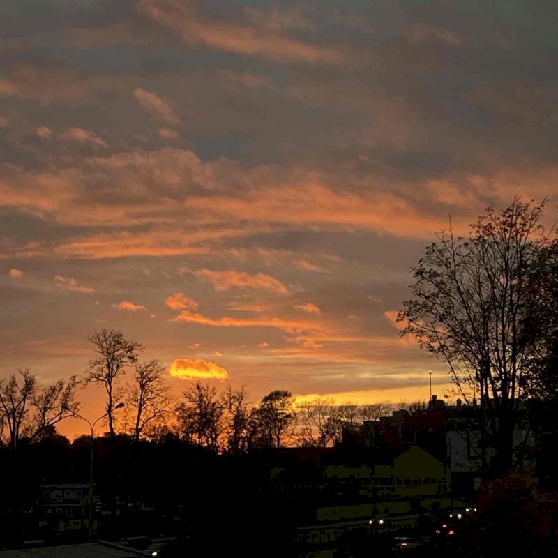 Фото профиля Зэна Рихтер