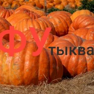 Фото профиля Кузьма Никулин