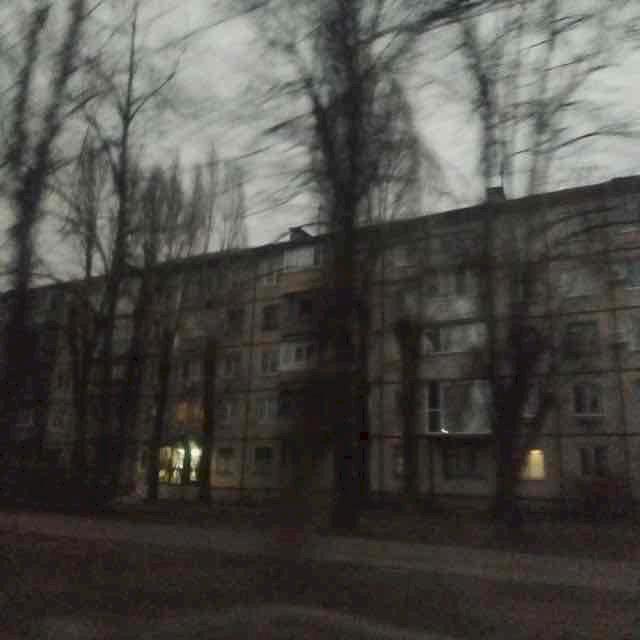 Фото профиля Стрелкова Дарья