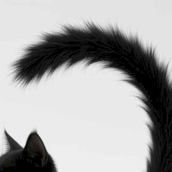 Фото профиля снежная королева 