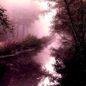 Фото профиля Deyterr