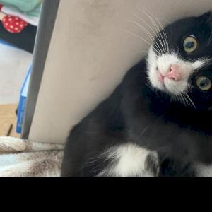 Фото профиля Александра Швец