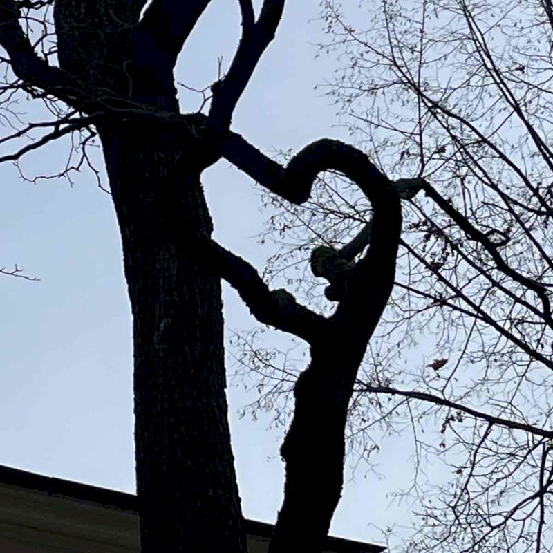 Фото профиля An Sun