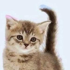 Фото профиля Танасова Виктория