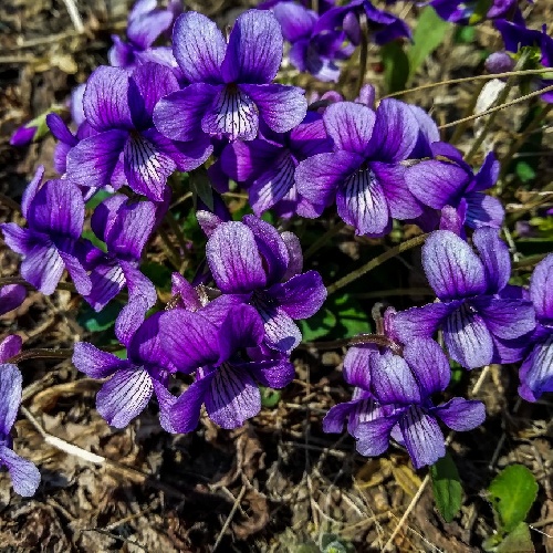 Фото профиля Екатерина Артюкова