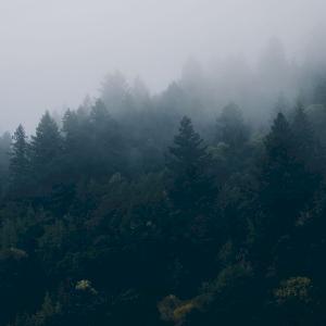 Фото профиля Иван Кравченко