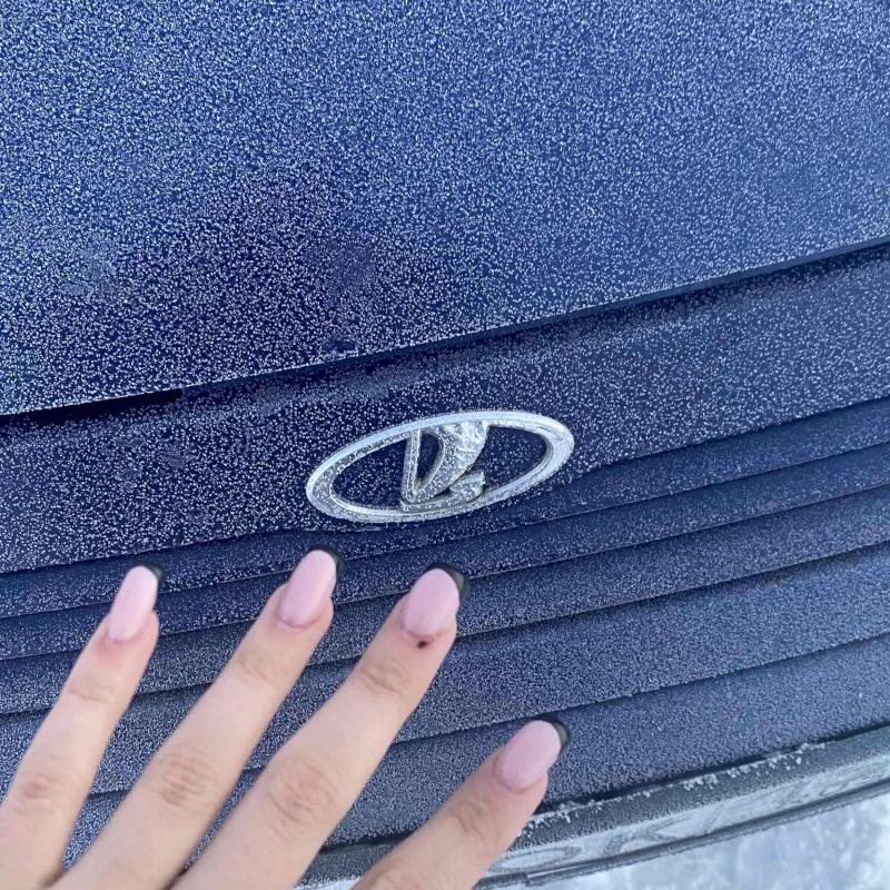 Фото профиля Цыбульская _ Дарья 