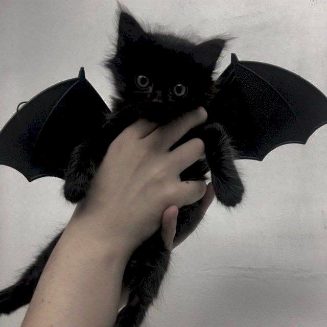 Фото профиля Мари Морозова