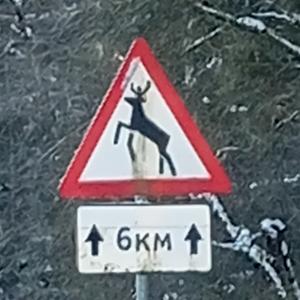 Фото профиля Лик