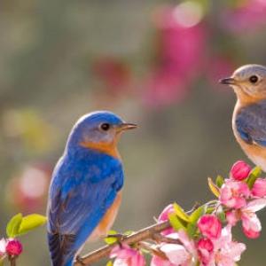 Фото профиля Вікторіус Пат