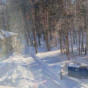 Фото профиля Диагноз Невменяем