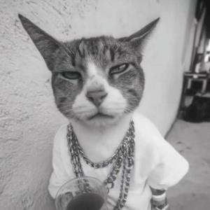 Фото профиля Вредный Кот