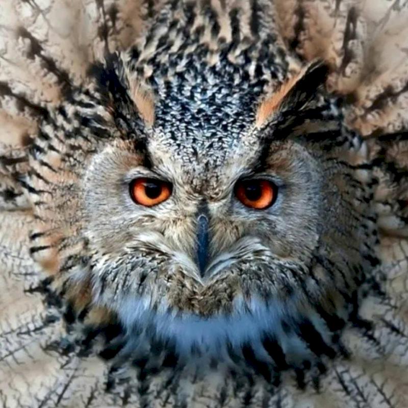 Фото профиля Лия Лавиния 