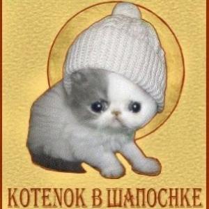Фото профиля ФЕйА