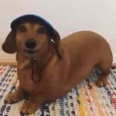 Фото профиля lamaaarrr