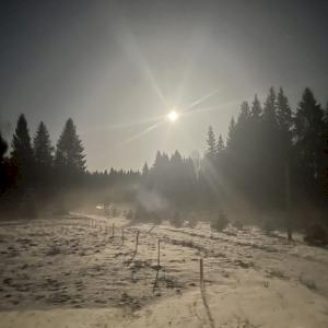 Фото профиля Александр Фригадный