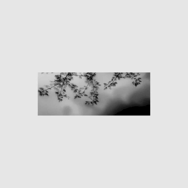 Фото профиля ловец мыслей