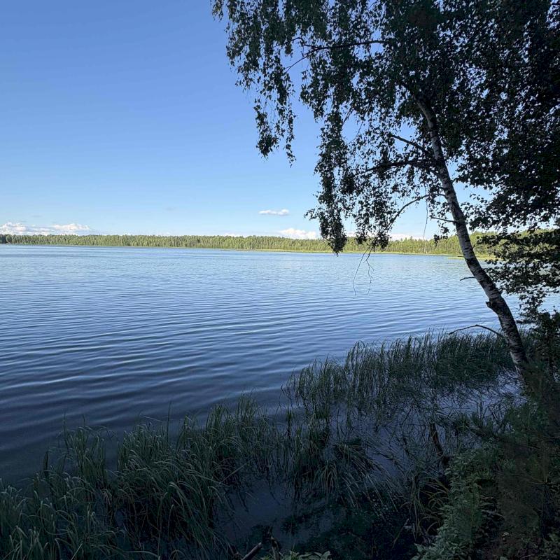 Фото профиля Эдуардовна 
