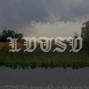 Фото профиля LOTSO