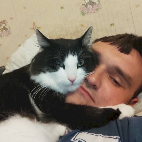 Фото профиля Илья Плутенко