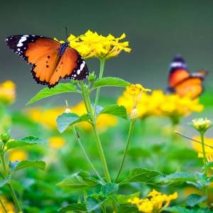 Фото профиля Артель Адажио