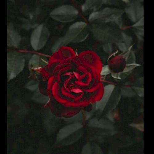 Фото профиля Анна