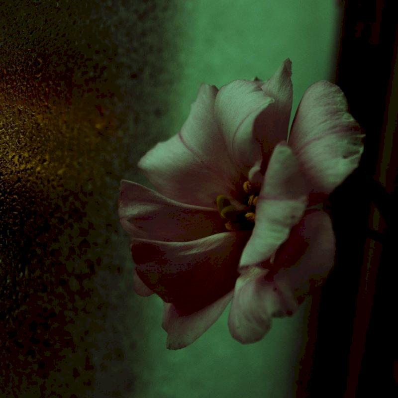 Фото профиля Лю Гуйжи 