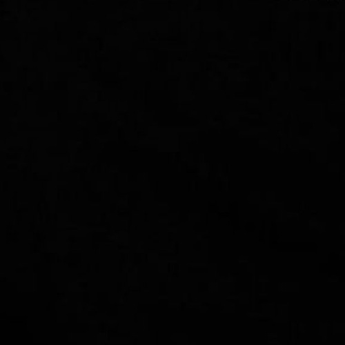 Фото профиля Black Fox