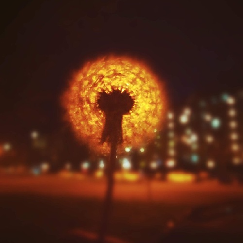 Фото профиля nnnrfds